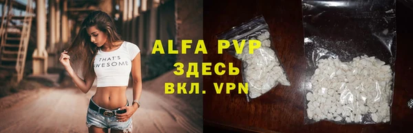 спиды Новозыбков