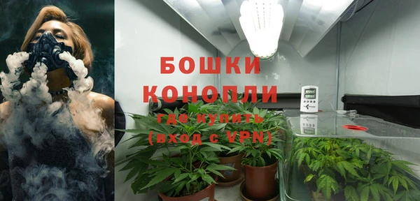 спиды Новозыбков