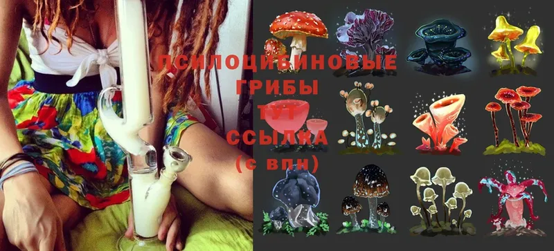 Галлюциногенные грибы Cubensis  Алушта 