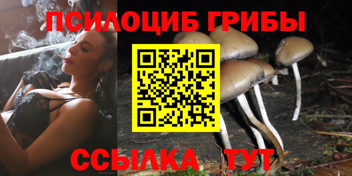 Псилоцибиновые грибы мицелий Алушта