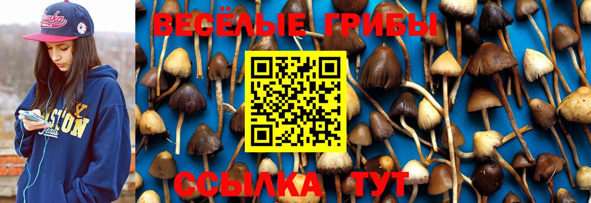 Галлюциногенные грибы Cubensis  Вход с VPN  Алушта 