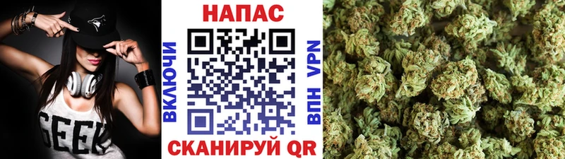 Бошки марихуана VHQ где можно купить наркотик Алушта